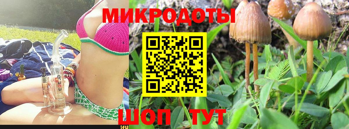 Сланцы  Псилоцибиновые грибы мухоморы  Вход с VPN 